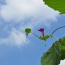 소향공원 이미지