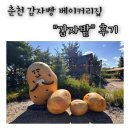 감자 | 춘천 감자빵 베이커리 &lt;감자밭&gt;후기