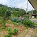 비젼하우스 이미지