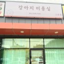 그루댕 네이버블로그