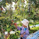 윤성목욕탕 이미지