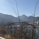 동굴식당 | 단양 고수동굴 근처 맛집 [경남식당] ; 마늘떡갈비 &amp; 더덕구이 먹고 온 후기