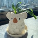 더존목장 | 24년 2월~3월 첫주