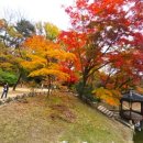 연못들5 이미지