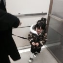 제이약국 | 강남 밝은성모안과, 라섹후기, 라섹회복기간, 라섹비용