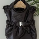 어도러블독 이미지