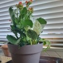 금천영농 이미지