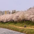 오목천교 이미지