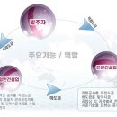 DW민주행정사무소 이미지