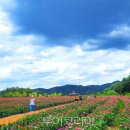 관광단지로(성곡동) 이미지