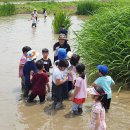 화정글샘도서관 이미지