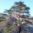 고향어탕국수 이미지