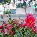 국수마당 이미지