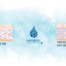 아쿠아뷰티 이미지