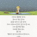 일어(초.중급) | [난임일기] 분당차 난임센터 자궁경+자극내막술 후기와 결과