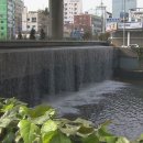 동천약품 이미지