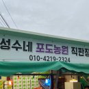 성수네포도농원