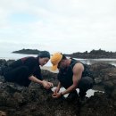 삽시도둘레길 이미지