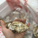 마리스남해 이미지