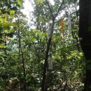 동산마을경로당 이미지