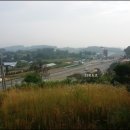 농업회사법인(주)동부팜 이미지