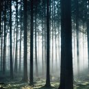 (합)중앙장례식장 이미지