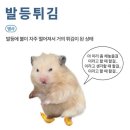나이먹고싶지가않아요제발부디