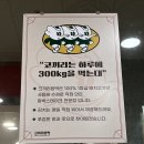 코끼리밥집 이미지