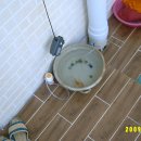 골드마트 이미지