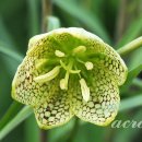 오늘 두시 이미지