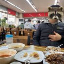 용마루손짜장 이미지