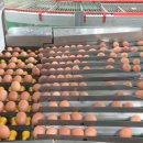 농업회사법인주식회사삼송 이미지