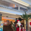 더선 | 경기도 광주 대형카페 ‘냅인더선샤인' 내돈내산 후기 (동물도 있고 화덕피자도 있음)