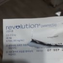 중랑차동물병원 이미지
