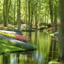 자연풍경2 이미지