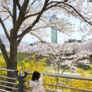 한산6교 이미지