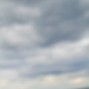 네이처리프 | 네이처리프, 청주 용암동 수제담배 후기