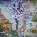 김천컨벤션웨딩뷔페 이미지