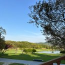 휘닉스 컨트리클럽 | 대한민국 No.1 웰링턴CC 방문 후기 (휘닉스/ 와이번코스)