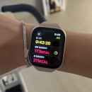 송전정 | 김장 2시간 영양보충 217시간 / 올해 마지막 다이어리 되기 싫어서 어떻게든 끊어버린 부분