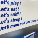 마이하우스퍼피 애견호텔유치원 이미지