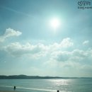 바람개비 이미지