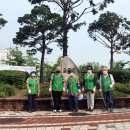 신안동13 이미지