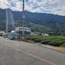 화개송이펜션B 이미지