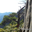 세대차이 이미지