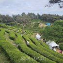 더마크관광호텔 이미지