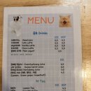 고양이숲 | 제주 서귀포 관광지 제주 숲속 고양이 천국, <제주캣월드> 겨울 방문 후기 🐾❄️