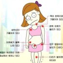 바디체인지체형교정 이미지