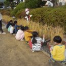 마곡초등학교 이미지