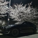 스피드메이트중동역 이미지